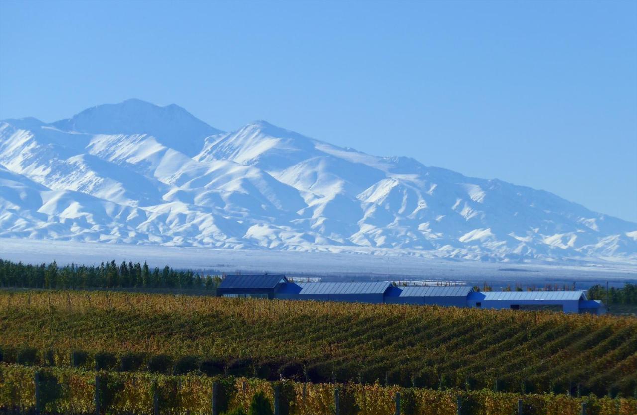 Casa De Uco Vineyards And Wine Resort Los Arboles Bagian luar foto