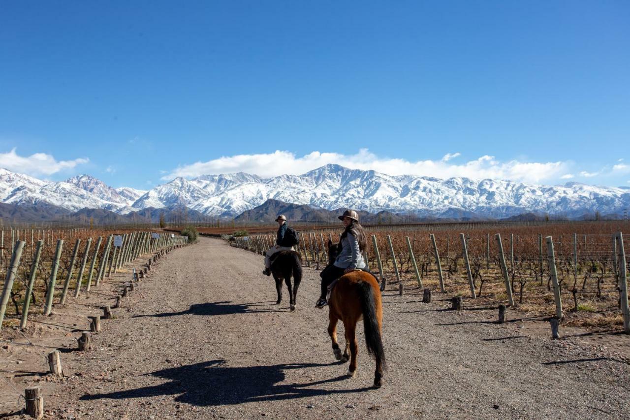 Casa De Uco Vineyards And Wine Resort Los Arboles Bagian luar foto